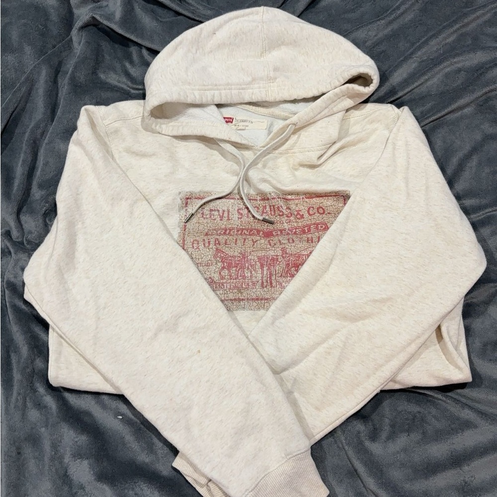 Levi hoodie